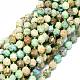 Chapelets de perles en turquoise naturelle G-O201B-66A-1