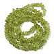 Natürlichen Peridot Perlen Stränge&nbsp;G-P332-48-01-4
