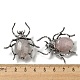 Broche araignée en alliage JEWB-C026-03H-AS-3