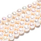 Natural Cultured Freshwater Pearl Beads Strands PEAR-N013-05E-3