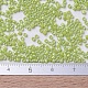 Perline miyuki delica piccole SEED-J020-DBS0169-4