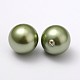 Perles de coquille BSHE-R147-16mm-06-1
