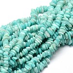 Natural Amazonite Chip Beads Strands, 5~14x4~10mm, Hole: 1mm, about 15.5 inch~16.1 inch