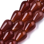 Natural Carnelian Beads Strands, Teardrop, 13~14x10mm, Hole: 1.5mm, about 28pcs/strand, 14.84 inch(37.7cm)