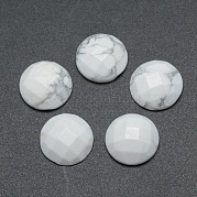 Кабошоны из натурального говлита G-P393-P04-14.5mm