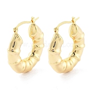 Brass Hoop Earrings EJEW-H301-01G-01