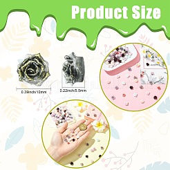 100 Stück Kunststoff-Cabochons&nbsp;KY-CJ0002-17