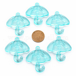 Pendentifs en acrylique transparent &nbsp;TACR-T024-01B-946