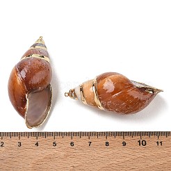 Grandes colgantes de concha de caracola espiral natural&nbsp;SH-CBACA76-10