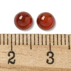 Natürlichen Karneol cabochons&nbsp;X-G-Q173-01B-14