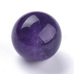 Natürlichen Amethyst Perlen&nbsp;G-L564-004-C01