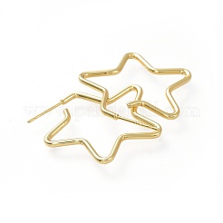 Orecchini in ottone&nbsp;EJEW-L234-39G