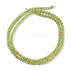 Natürlichen Peridot Perlen Stränge&nbsp;G-K313-B01-02