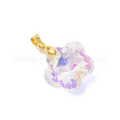 Ab Farbe überzogen Glas-Anhänger&nbsp;PALLOY-JF04596-01