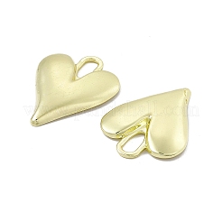 Aluminium Anhänger & Charms&nbsp;LS-PALLOY-D014-08LG
