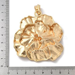 Legierung große Anhänger & Charms&nbsp;FIND-G094-04B-MG