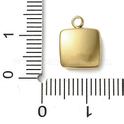 304 Edelstahl-Acryl-Anhänger&nbsp;STAS-M091-02D-G