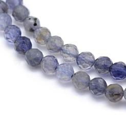 Chapelets de perles en cordiérite naturelle/Iolite/Dichroite&nbsp;G-E411-39-3mm