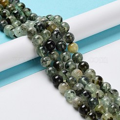 Perline Prehnite naturale fili&nbsp;G-P322-48-10mm-01