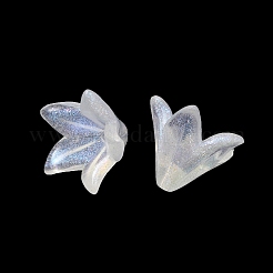 Transparentes bouchons acrylique de perles&nbsp;OACR-A020-01
