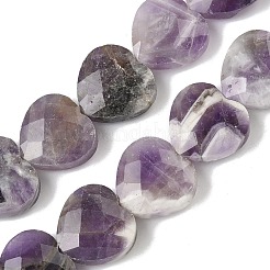 Natürlichen Amethyst Perlen Stränge&nbsp;G-A309-A11-01