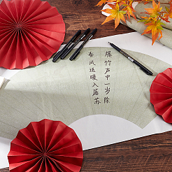10 Blatt chinesische Reispapierkarte&nbsp;AJEW-PH0011-46