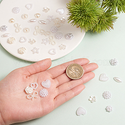 ABS Kunststoffimitation Perle Cabochons&nbsp;OACR-CJ0001-08