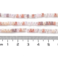 Fili di perline di vetro elettrolitico di colore sfumato&nbsp;X-GLAA-E042-05-B08