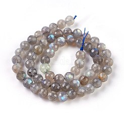 Natur Labradorit Perlen Stränge&nbsp;G-O176-04B