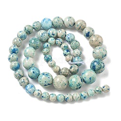 Rangs de perles fossiles naturelles de taille graduée&nbsp;G-F830-A03-01E