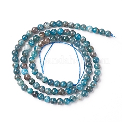 Natürliche Apatit Perlen Stränge&nbsp;G-L554-01-4mm