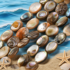 2 hebra de cuentas de concha de paua natural&nbsp;BSHE-PA0001-09