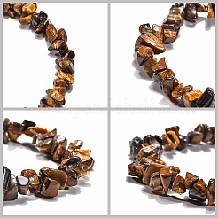Tigerauge Chips dehnen Armbänder&nbsp;BJEW-JB01308-02