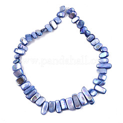 Naturali di acqua dolce perline shell fili&nbsp;SHEL-N026-123G