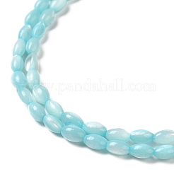 Hebras de cuentas de concha de trochus natural&nbsp;SHEL-K006-19D