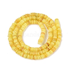 Hebras naturales de cuentas de concha de agua dulce&nbsp;SHEL-Q028-01C