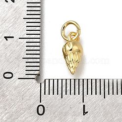 Messing Anhänger & Charms&nbsp;ZIRC-I070-097G