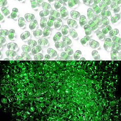 Perline di semi di vetro luminose&nbsp;X1-SEED-A033-07I