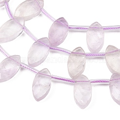 Natürlichen Amethyst Perlen Stränge&nbsp;G-P607-A05-01