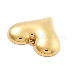 Pendentifs en acier inoxydable 304&nbsp;STAS-R155-054F-G