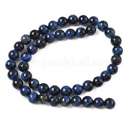 Brins de perles en œil de tigre naturel de Grade B&nbsp;G-F591-18-8mm-01