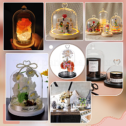 Cubiertas de cúpula de campana de vidrio con forma de corazón&nbsp;AJEW-WH0696-225B-03