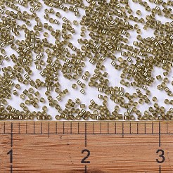 Miyuki Delica Perlen&nbsp;SEED-X0054-DB0288