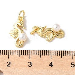 Messing Anhänger & Charms&nbsp;LS-KK-A252-32G-01
