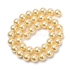 Perles de perles de coquille galvanoplastie&nbsp;BSHE-G041-10mm-01