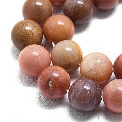 Bois pétrifié naturel perles rondes brins&nbsp;G-D356-C01-12mm
