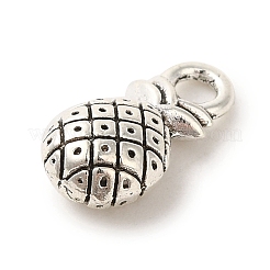 Encantos de aleación de estilo tibetano&nbsp;TIBEP-L021-53AS