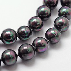 Shell-Perle Perle Stränge&nbsp;X-BSHE-L025-05-6mm