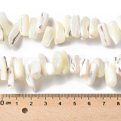 1 Strang gefärbte natürliche Trochus-Muschelperlenstränge&nbsp;SSHEL-PA0001-01B