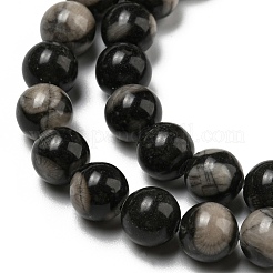 Natürliche schwarze fossile Korallenperlenstränge&nbsp;G-R494-A04-03